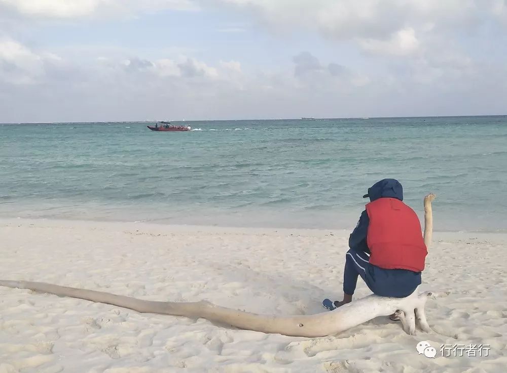 漂洋过海只为遇见你西沙攻略,西沙探秘游记大攻略