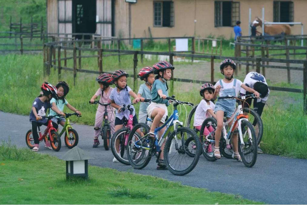 妗愪埂鍚堟偊姹熷崡骞哥鐢熸椿,妗愪埂鍚堟偊姹熷崡鏃呮父鏀荤暐