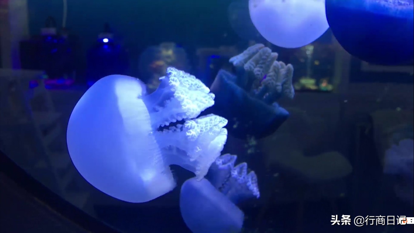 转一转：西单华威商场的潮铺街和约饭街，青春的味道