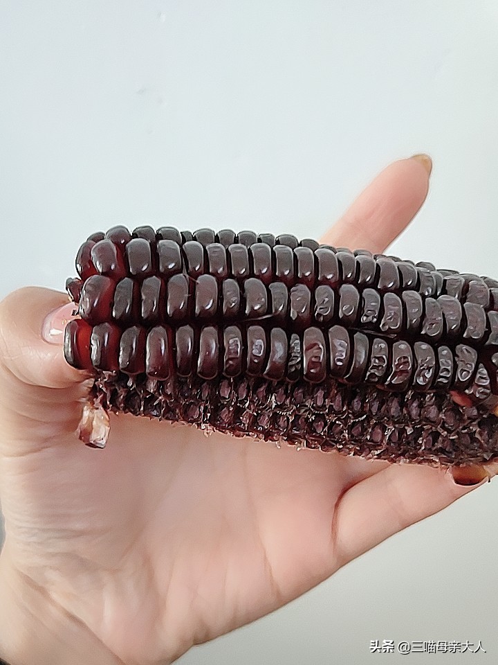 减脂健身蛋白粉正确吃法,适合减脂吃的蛋白粉