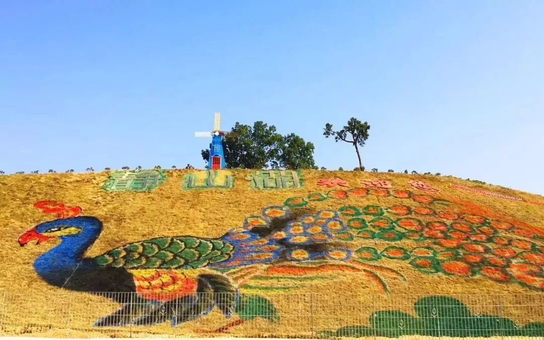 砸百万豪奖！邀您评出最喜爱的清远市名特优新农产品