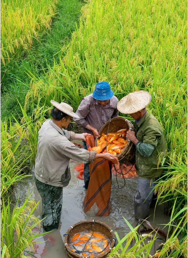 只能自己摸索前进文案,在摸索中前进是谁说的