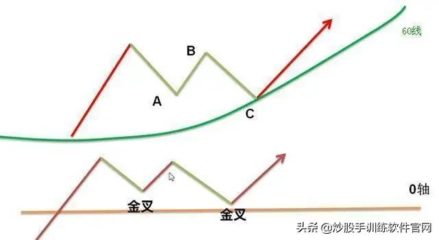 像乌龟一样趴着炒股,像麻雀一样的股票