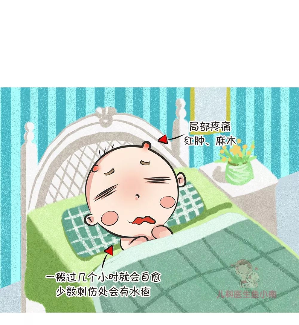 中蜂被蛰了有什么危害,秋蜂猛如虎警惕被蜇伤