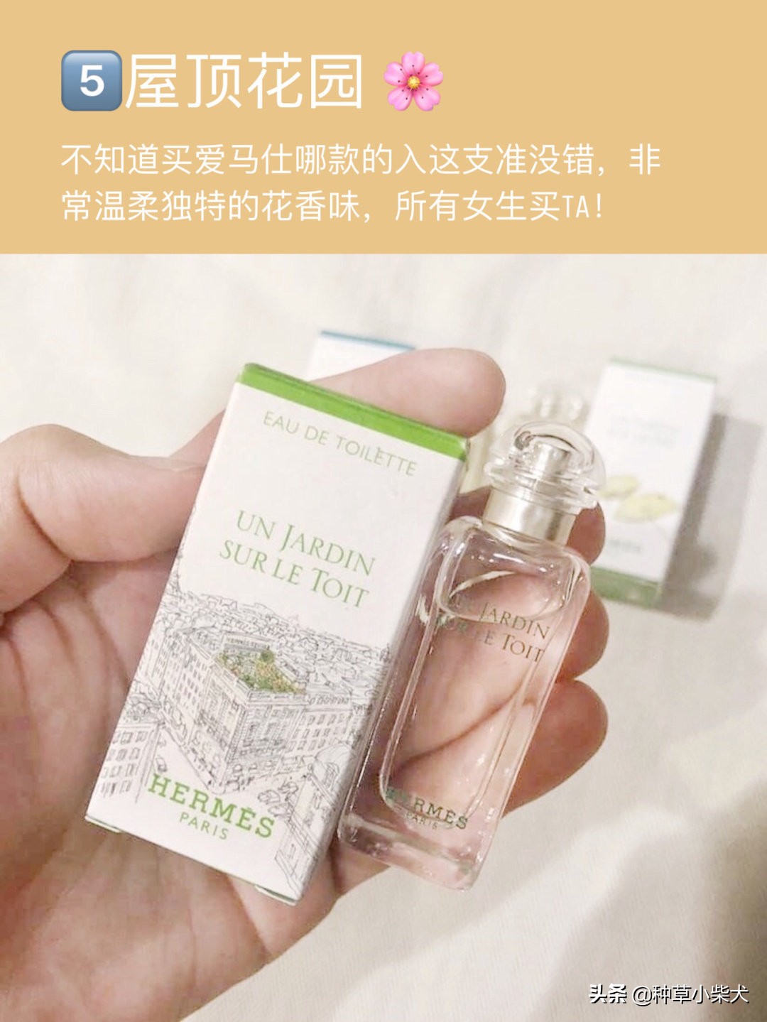 爱马仕律动二十四淡香水 (爱马仕蓝色橘彩星光香水)