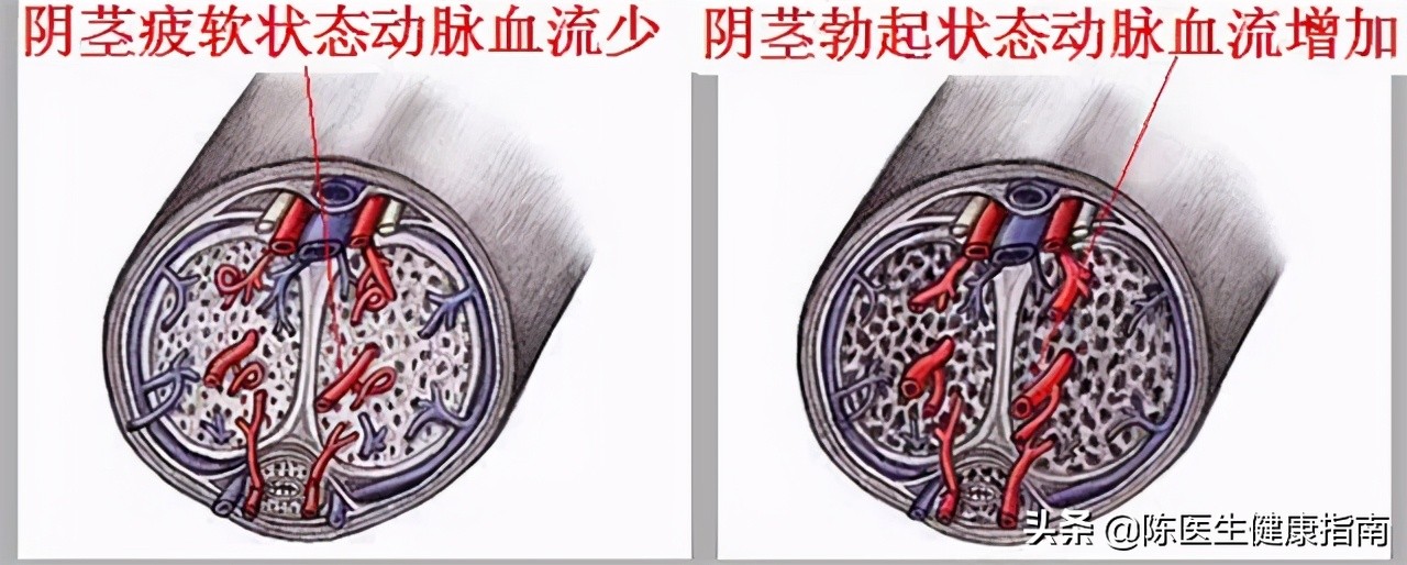 糖尿病胰岛功能会越来越差么,二型糖尿病胰岛功能会越来越差吗