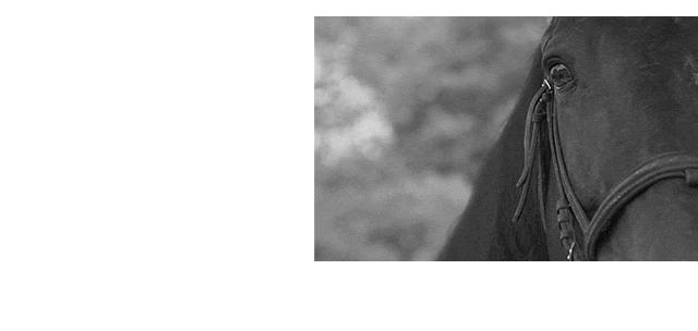 teenieweenie被收购,teenieweenie和维格娜丝