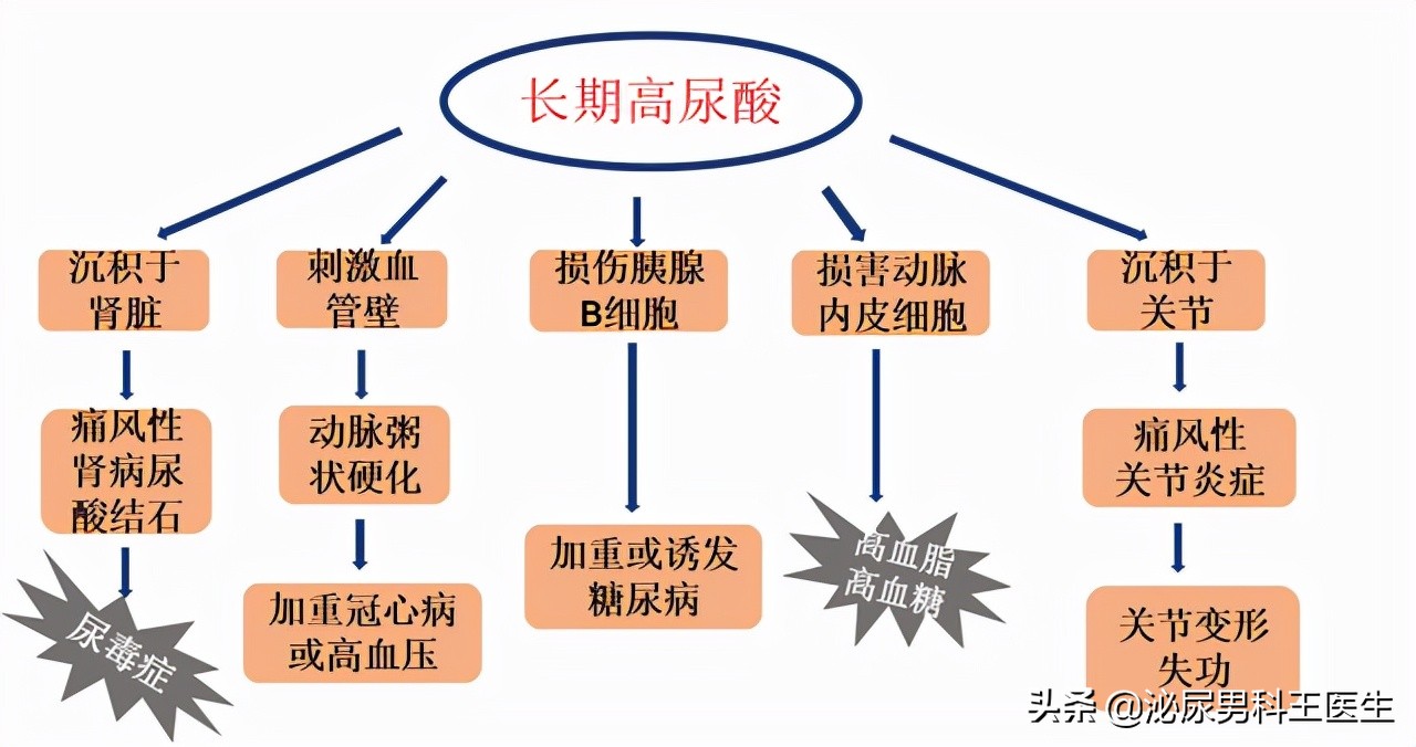 尿酸高身体会出现哪些症状,尿酸高怎么调理下来还需要吃药