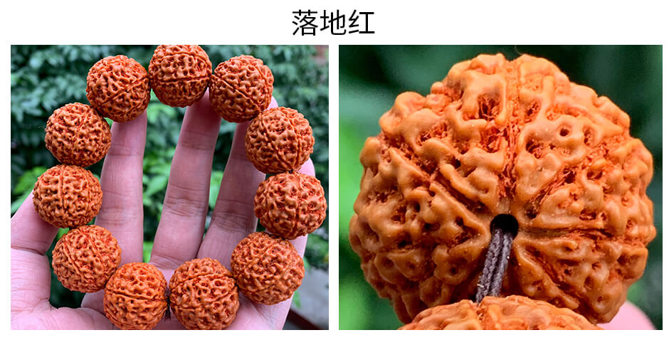 金刚菩提手串,印尼金刚菩提