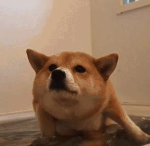 防水手机真的防水吗,防水手机一般用多长时间不防水