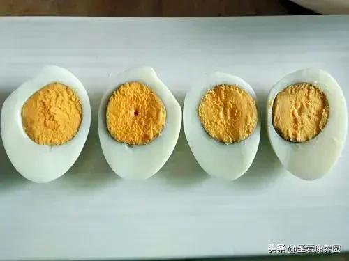 早餐冲鸡蛋水喝有什么好处,早餐吃玉米和鸡蛋有什么好处