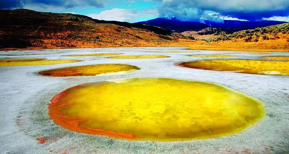 听说过斑马、斑点狗,你听说过斑点湖吗?