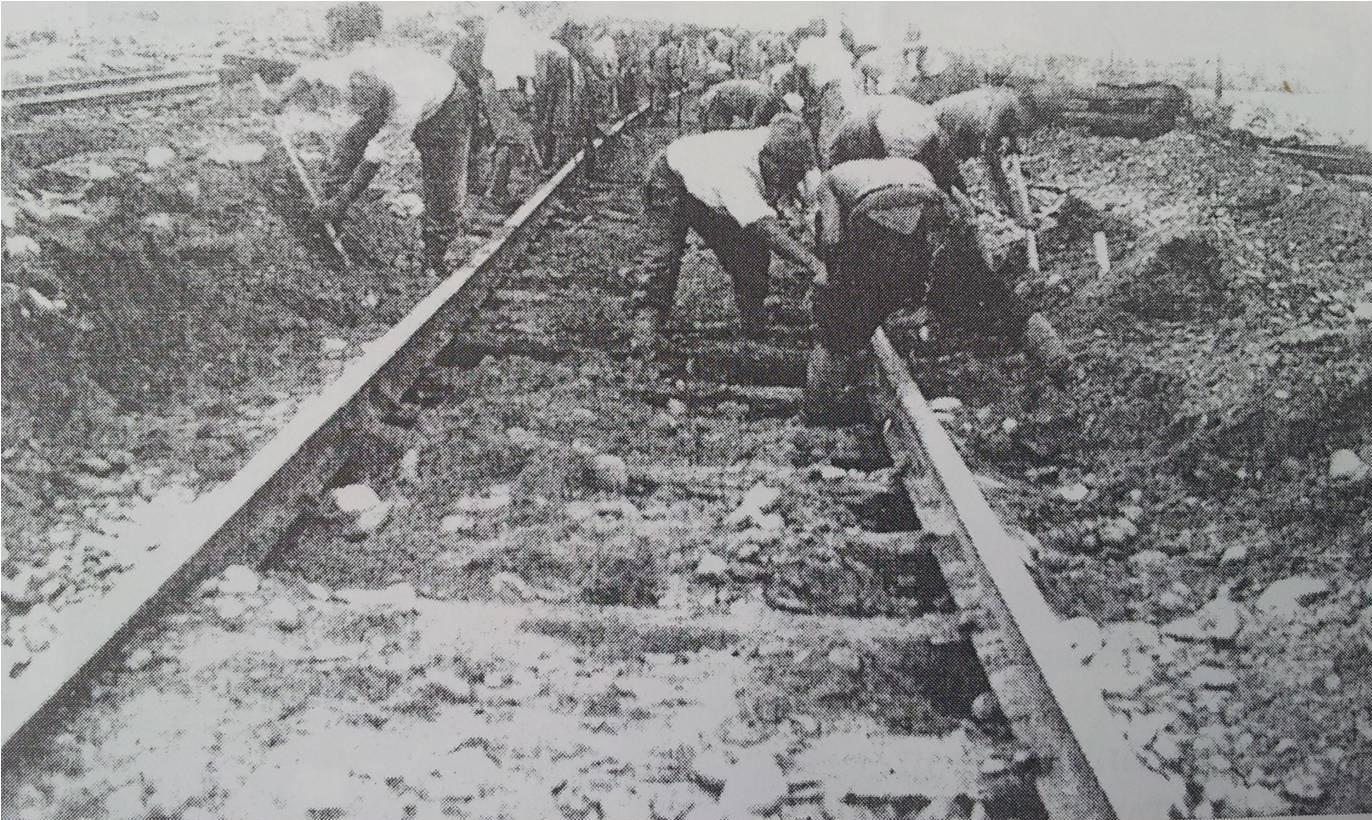 膏药旗当搓澡巾，日本关东军战俘在苏联那些事儿