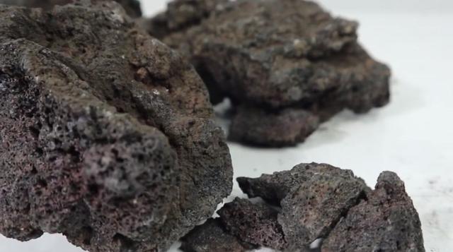 莫斯树到底好不好,莫斯树是什么