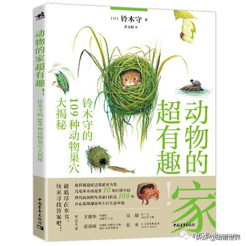 手绘动物地图,探索大自然手绘画