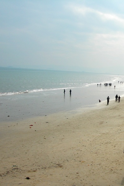 最新鼓浪屿一日游旅游攻略,旅游攻略鼓浪屿自由行攻略
