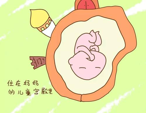 我从哪里来最佳答案,我是谁在哪里从哪里来该怎么回答