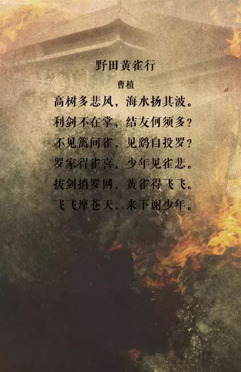 扒一扒汉朝那些事,曹丕和曹植真实关系