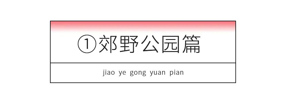 上海国庆免费景点推荐,上海值得去的免费景点旅游攻略