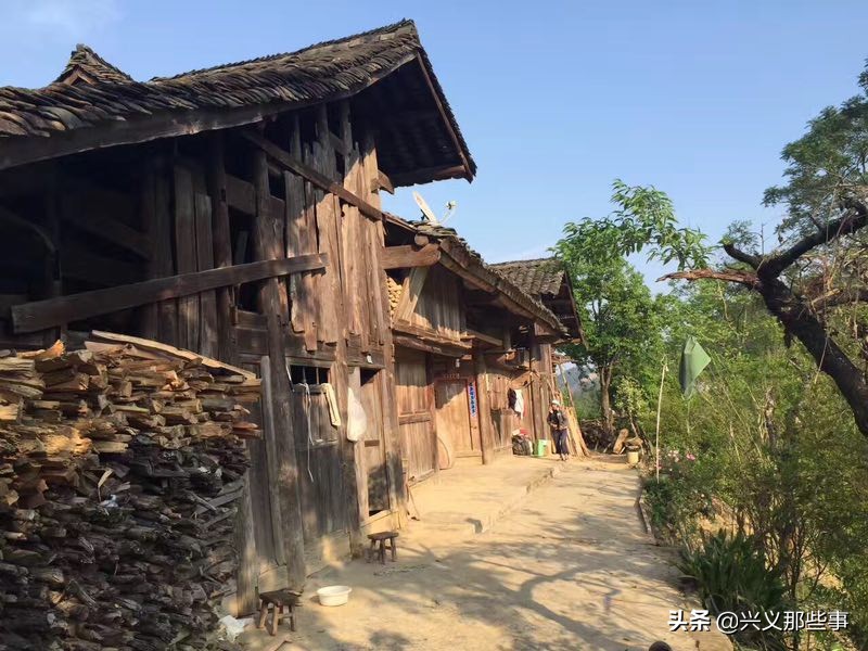 贵州仓更板栗基地地址,贵州板栗在哪里