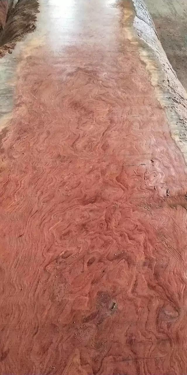 暗访广东天价大板生产基地，原料全是称斤拉木头，富豪还排队来买