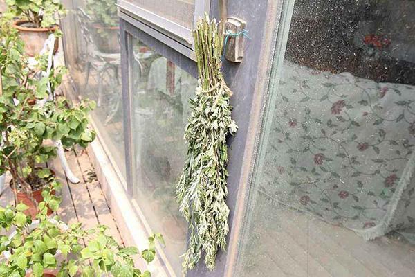 艾叶泡澡有什么好处和坏处,艾叶泡澡有什么好处与坏处