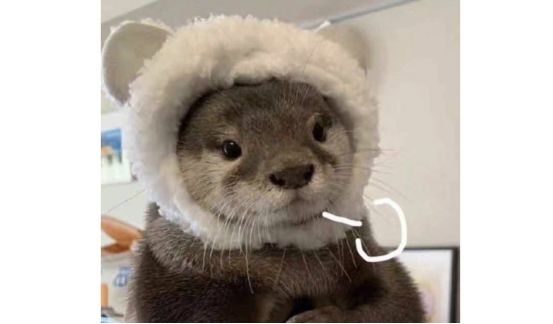 代沟搞笑视频,00后的代沟