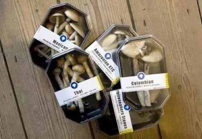 广西钦州毒案追踪,钦州毒品犯罪判刑案例