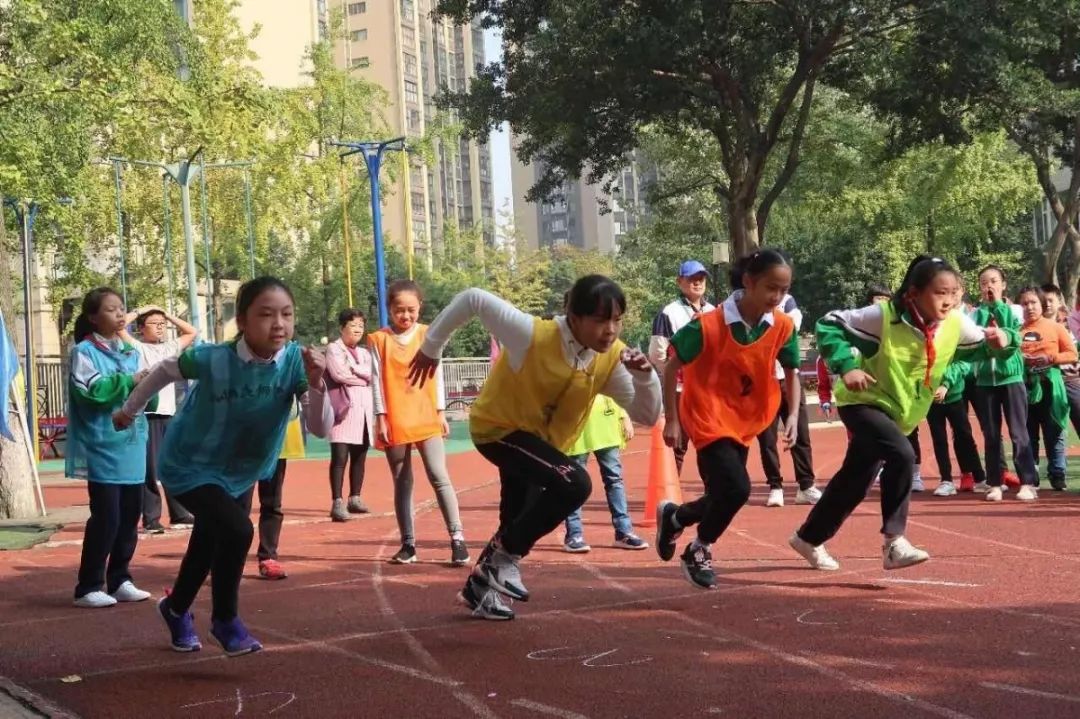 成华区排名前五的小学,成都市成华区有哪些好的小学