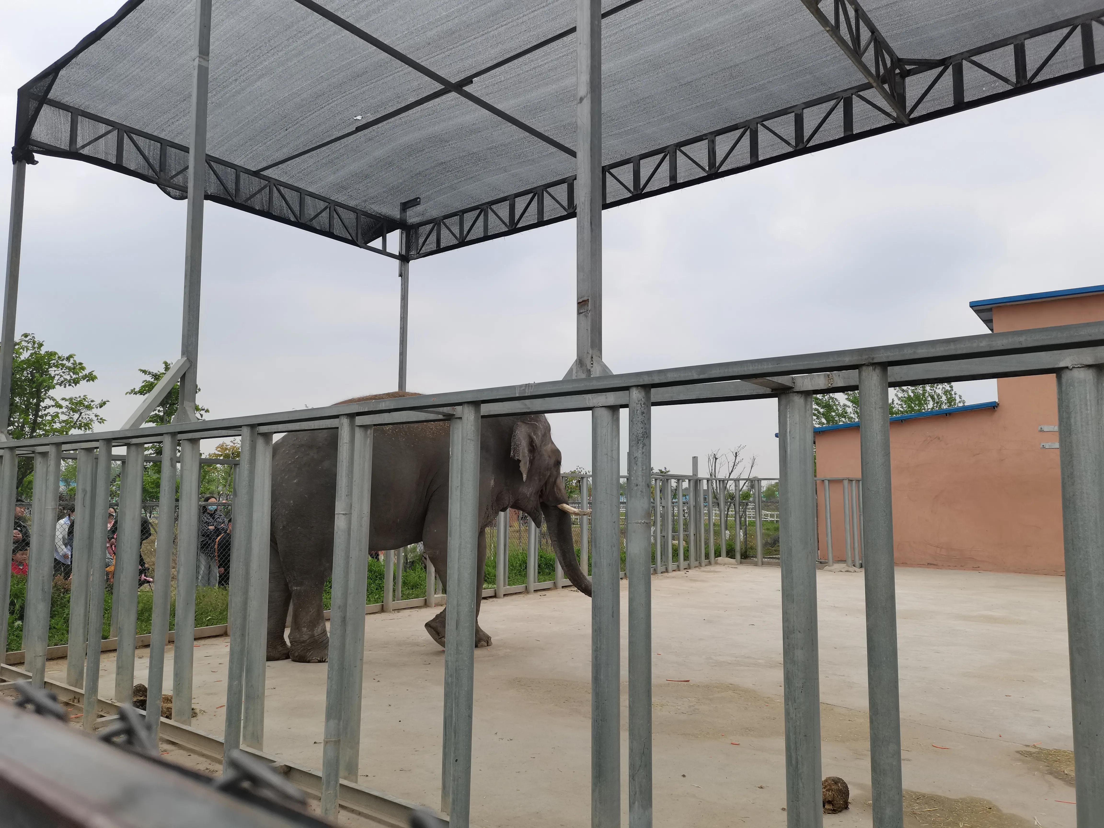 宿州火车站到宿州野生动物园,济南野生动物园和宿州野生动物园