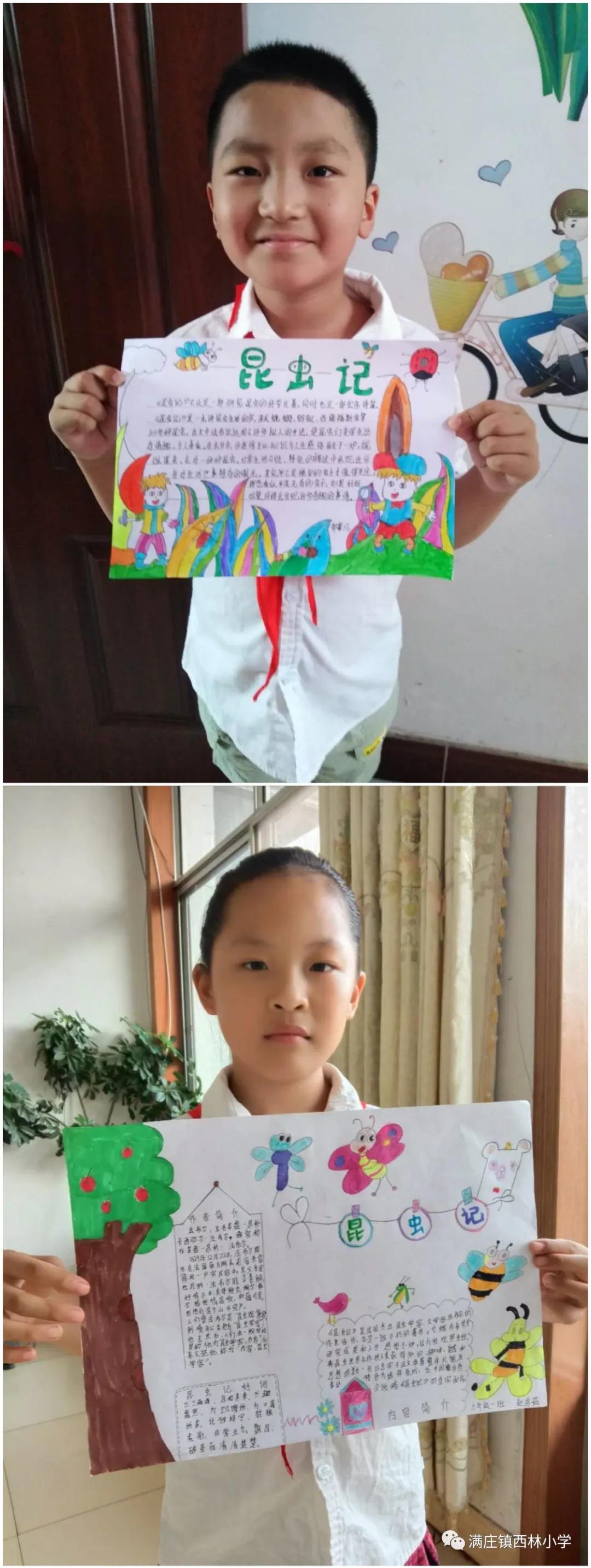 岱岳区满庄镇西林小学,泰安市岱岳区满庄镇西林小学