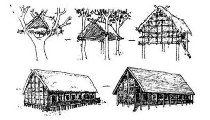 人类原始祖先的生活方式,远古时代我们的祖先怎么生活