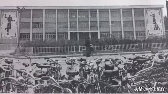 上榜啦！*疆新**鸟市和石市即将被国家命名！未来发展不可估量