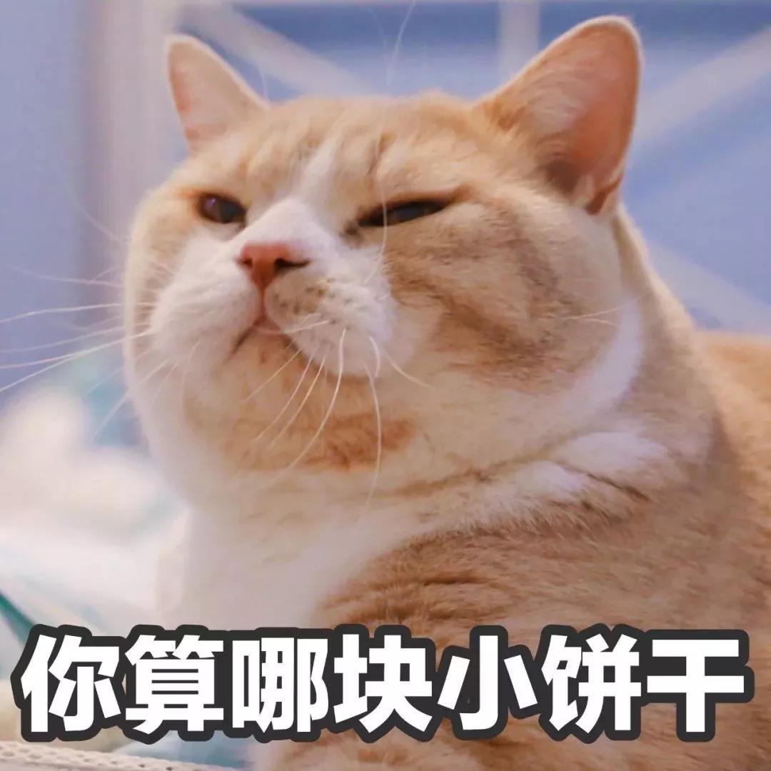 淘宝新店快速引流方法,淘宝新店免费引流100种方法