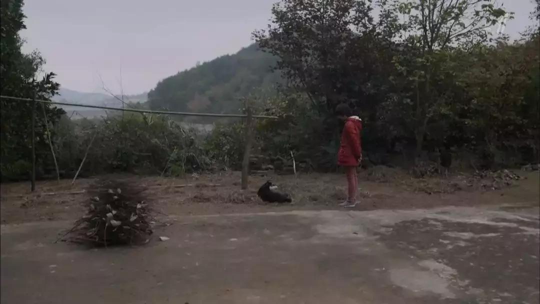 从留守儿童到三和大神，中国穷人为什么会陷入穷循环？