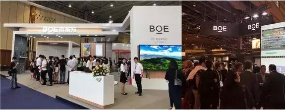 从捡垃圾到世界冠军电影视频,从捡垃圾开始到世界首富在线观看