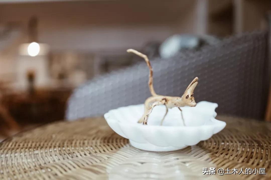 上海小桃园,她卖掉市区两套房子造花园