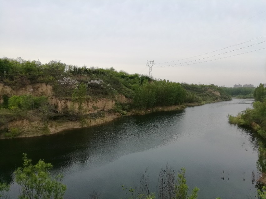 郑州树木园最新视频,郑州树木园现状