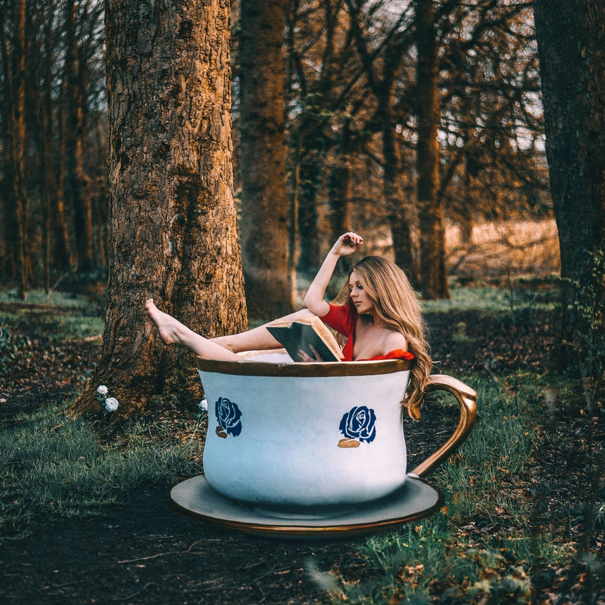 读了简爱后的思考,读了简爱这本书