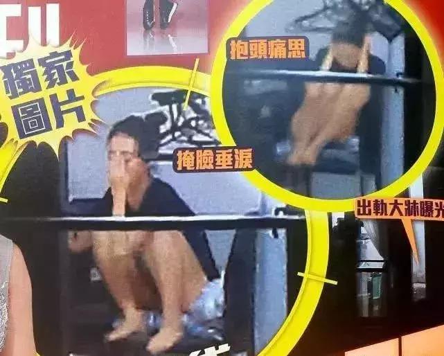 郑秀文许志安为什么不离婚,黄心颖许志安郑秀文