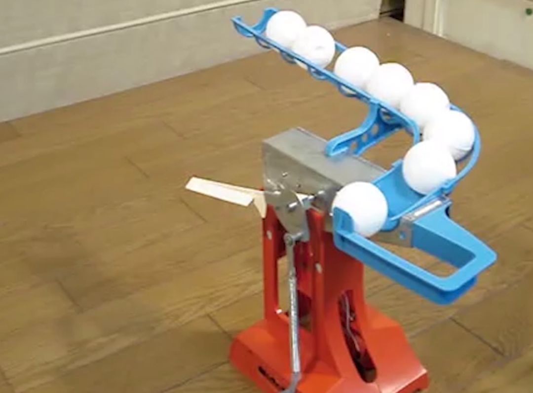 涉黑涉恶涉毒涉赌,黄赌毒涉黑涉恶