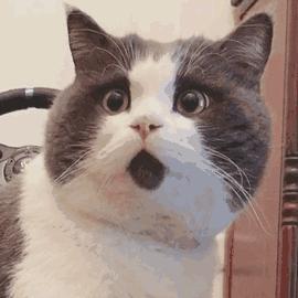 醉驾曝光台,近期酒驾醉驾曝光台