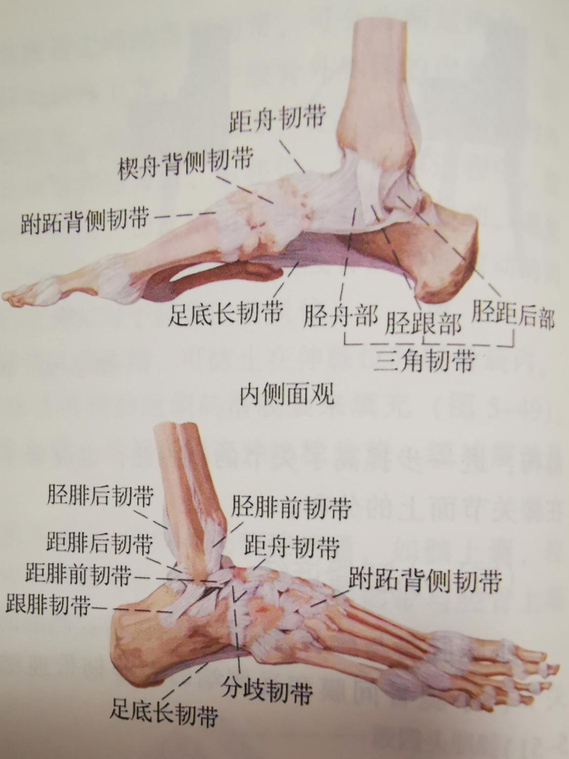 踝关节扭伤陈年旧伤如何康复,踝关节扭伤后下楼梯怎么康复