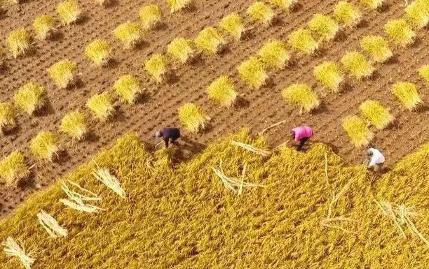 鑷綔鑱槑缁撴灉闂簡澶хジ,鑷綔鑱槑鍚庣画