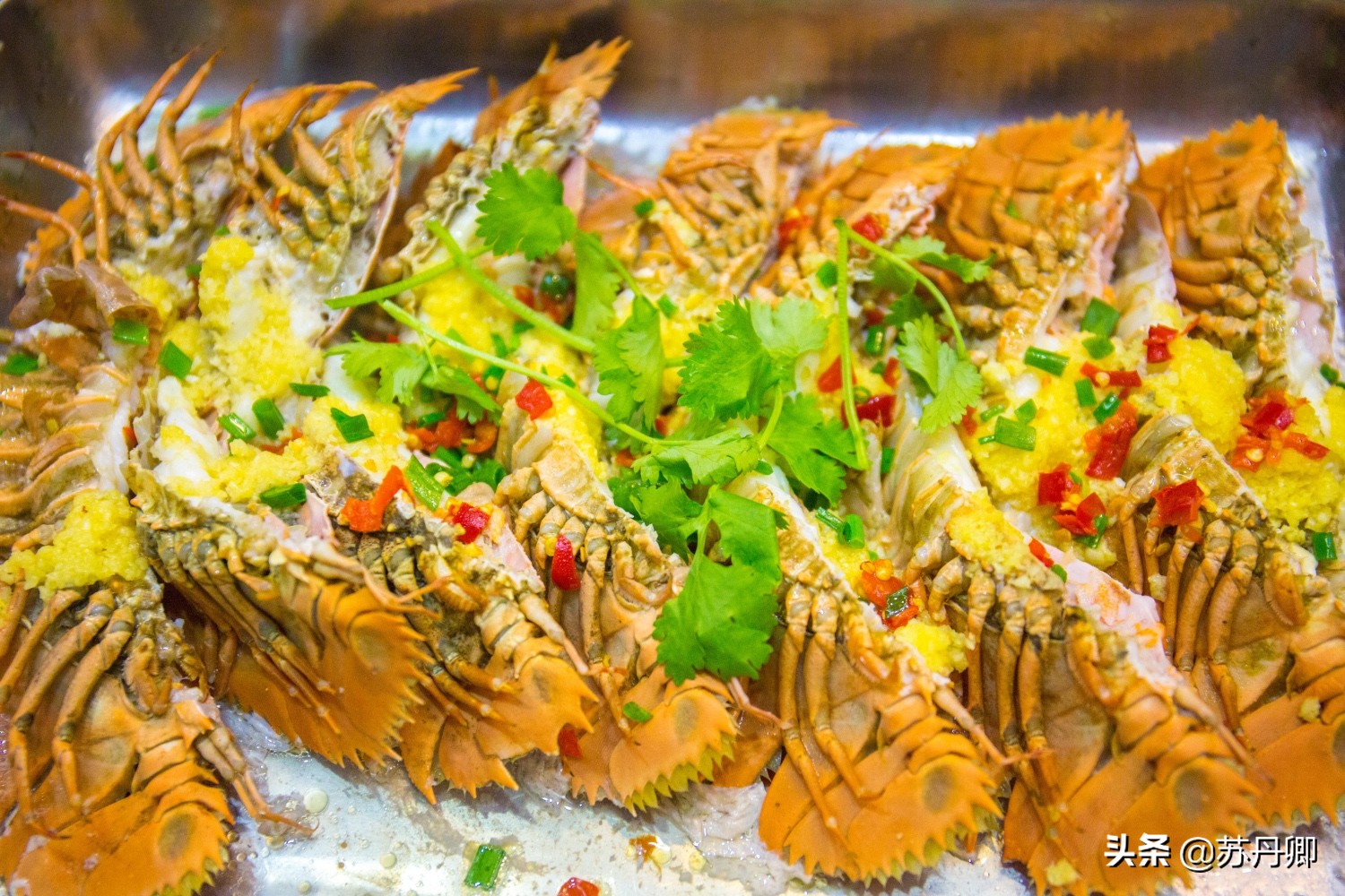 厦门海鲜1000块13道菜,厦门海鲜1599