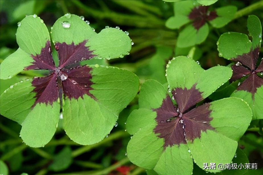 科目三考试在什么时间段最好,科目三考试什么时候考最容易通过