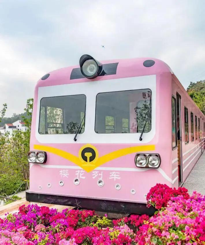 深圳花海公园地址在哪里,深圳中心河公园花海