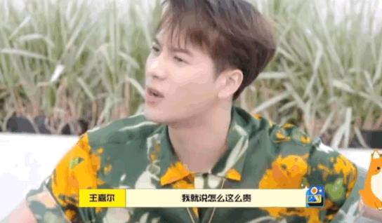 王嘉尔代言小众品牌,王嘉尔代言的品牌fendi小众