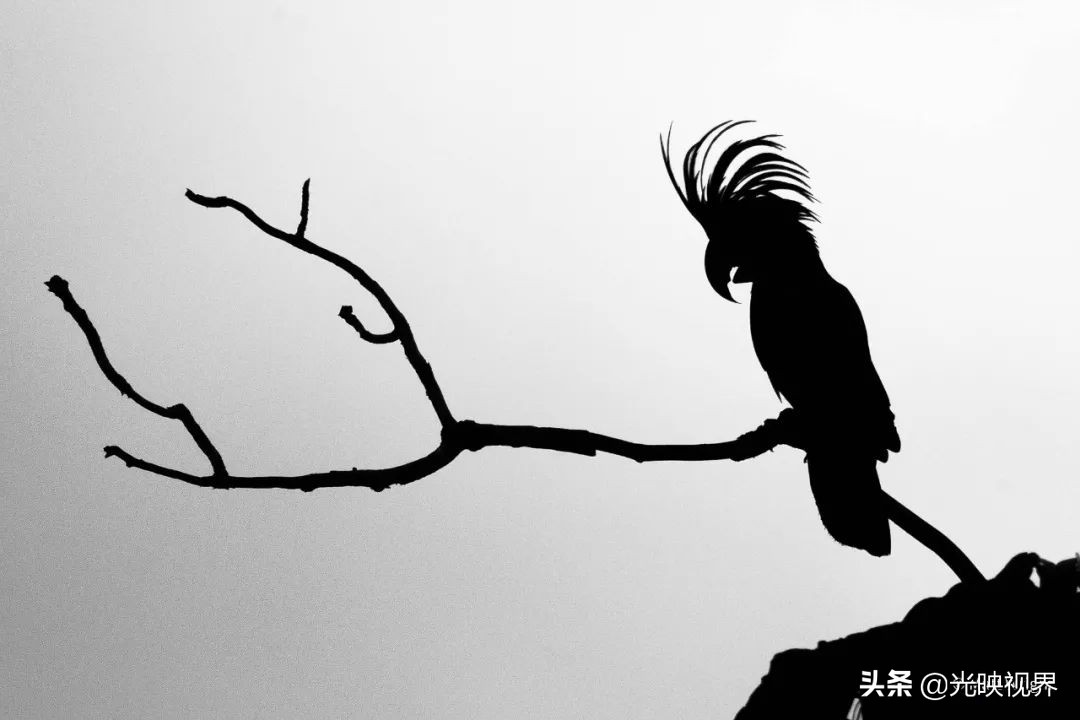 葡萄牙摄影大师获奖自然摄影作品,澳大利亚摄影师经典风景摄影作品