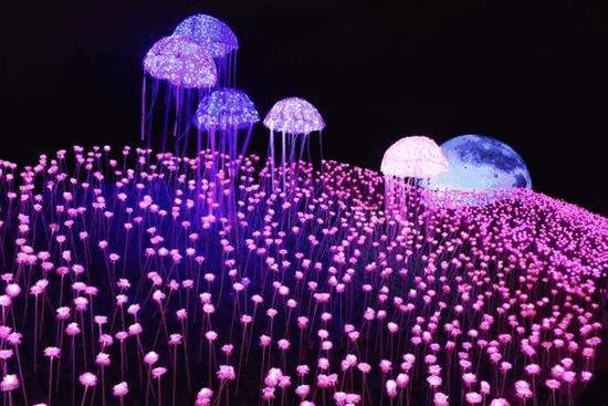 苏州华谊兄弟电影世界套票,苏州华谊兄弟电影世界体验票票价